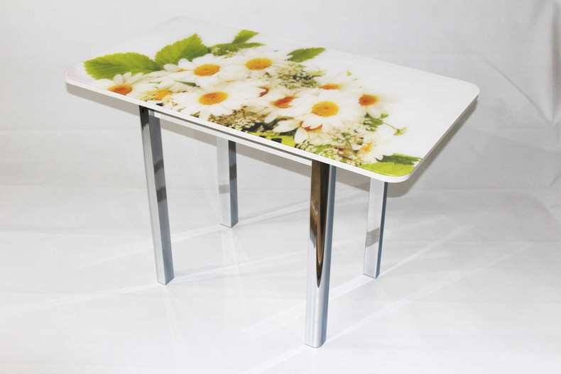 Стеклянный обеденный стол Милан 10 (фотопечать Ромашки)